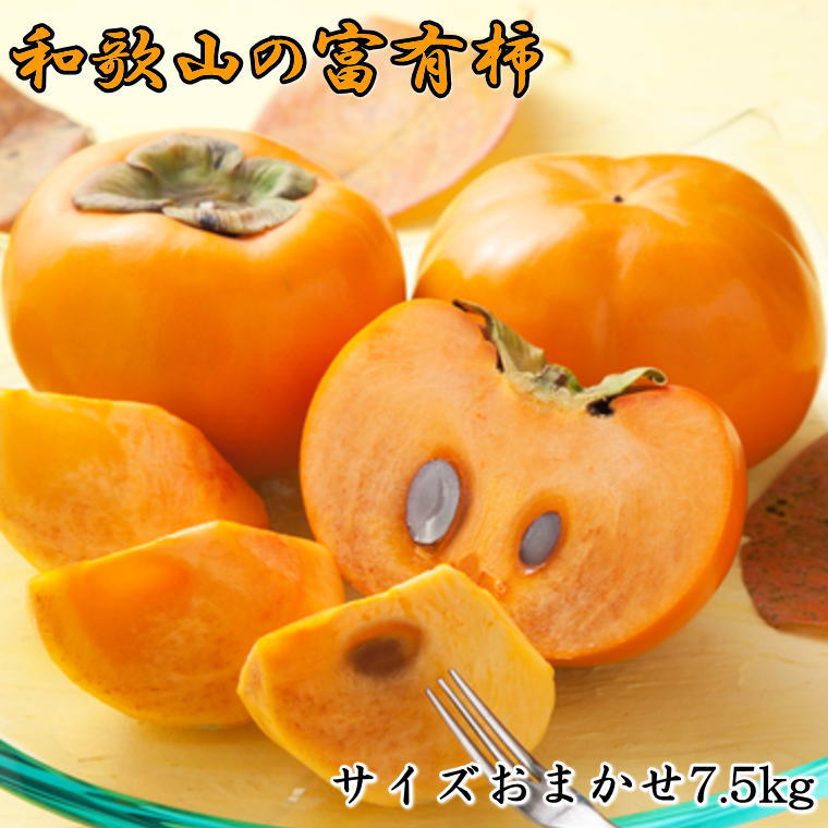 【ふるさと納税】 【甘柿の王様】和歌山産富有柿約7.5kgサイズおまかせ ※2025年11月上旬～2025年12月上旬頃発送（お届け日指定不可）