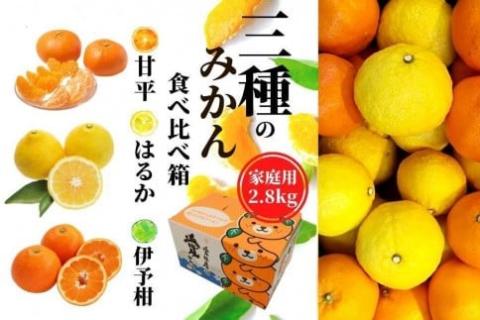 三種の みかん 食べ比べ箱 甘平 はるか 宮内伊予柑 （家庭用）約2.8kg ＜2025年2024年2月頃発送＞