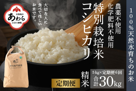 【先行予約】【令和6年産】《定期便6回》コシヒカリ 精米 5kg（計30kg） 特別栽培米 化学肥料不使用  ＜温度と湿度を常時管理し新鮮米を出荷！＞ / 伊与衛門農園の特別栽培米 高品質 鮮度抜群 