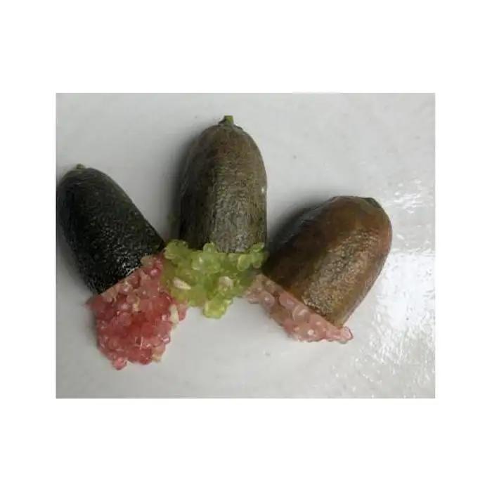 ライム 琴浦町産 フィンガーライム 130g