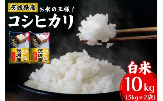 新米【令和7年産】お米の王様！茨城県産 コシヒカリ 白米 10kg (5kg×2袋)｜おこめ 精米 こしひかり 直送 稲敷 茨城 [1802]