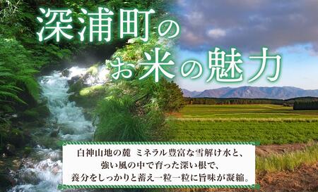 青森ブランド米 はれわたり10kg 白米 米 お米 コメ こめ 食品 ご飯 ごはん 和食 あっさり 国産 送料無料 つややか 青森県 深浦町