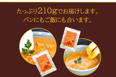 ＜オリジナル　高鍋生まれのタイカレー10個＞