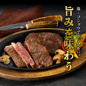 前沢牛ステーキ食べ比べ 合計480g（サーロイン・モモ 各120g×2枚） ブランド牛肉[U0074]