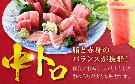 天然 本まぐろ大トロ＆中トロ 各1柵（計約450g）【横須賀商工会議所 おもてなしギフト事務局（本まぐろ直売所 横須賀本店）】[AKAK109]