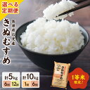 【ふるさと納税】【令和6年産】石見産きぬむすめ【5kg 10kg/1回 6回 12回】 選べる 定期便 お米 お取り寄せ 特産 精米 白米 ごはん ご飯 コメ 新生活 応援 準備