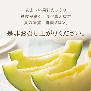 SA2871　庄内メロン/青肉　グレース　約5kg(4～5玉入)