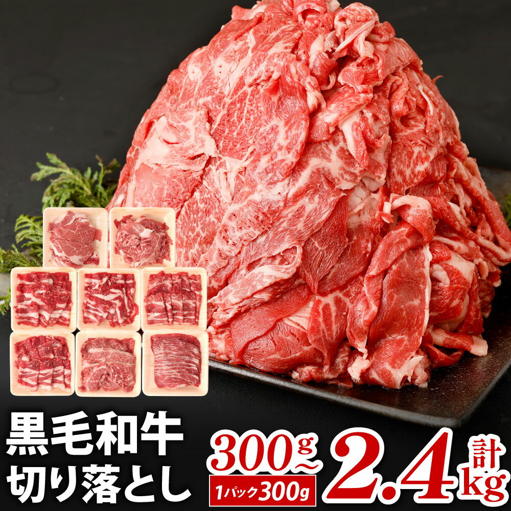 九州産 黒毛和牛 切り落とし 合計2.4kg 300g×8パック 小分け 国産牛 お肉 牛肉 切落し 冷凍 送料無料
