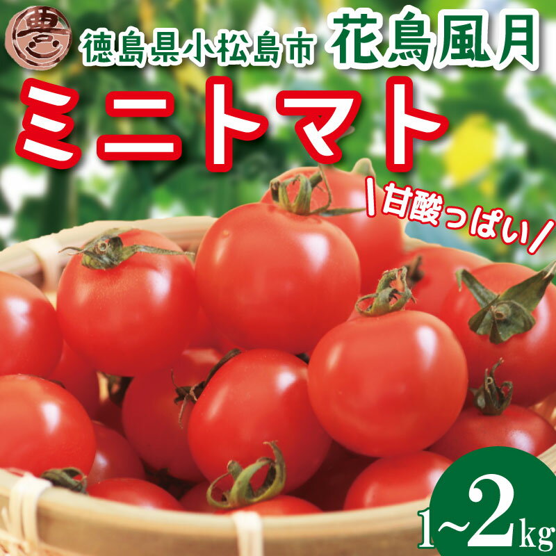 【ふるさと納税】 【選べるお届け月】 ミニトマト 1kg 2kg 花鳥風月 先行予約 水耕栽培 爽やか 甘い 野菜 やさい 国産 産地直送 数量限定 旬 フレッシュトマト 生野菜 新鮮 ソース 調味料 ケチャップ サラダ 美容 新鮮 健康 グルメ 1万円以下 10000円以下 徳島県 小松島市