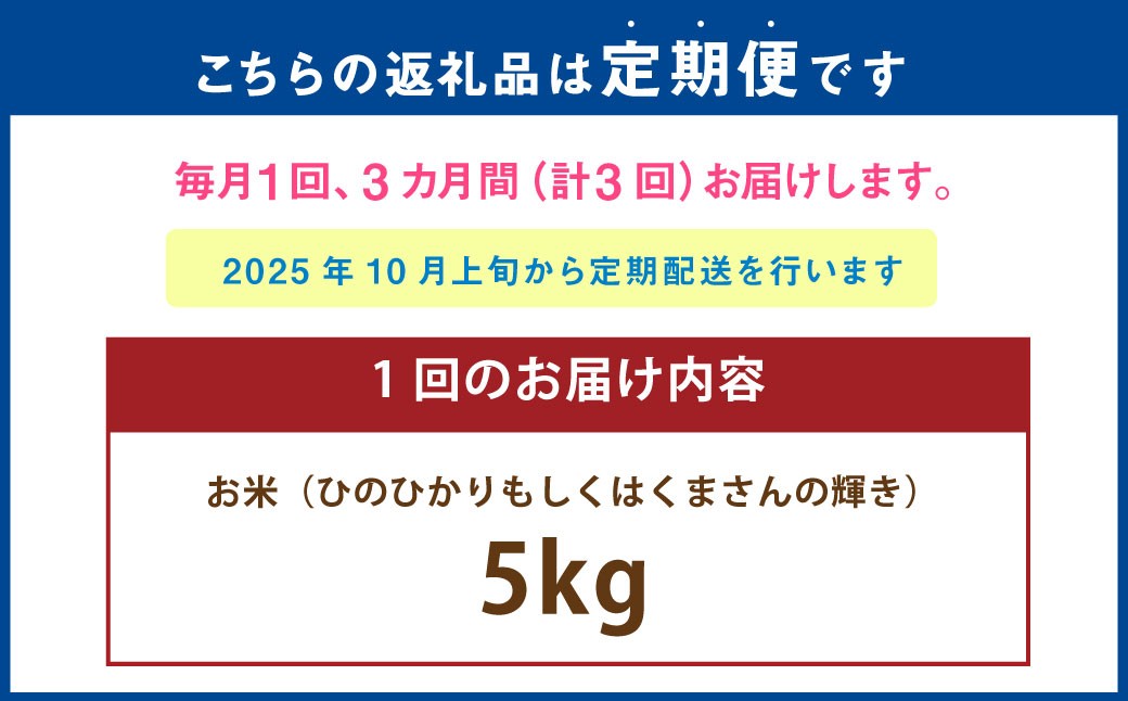 【年3回連続定期便】 【令和7年度産】 熊本県（七城）産のお米 計15kg（5kg×3回） 