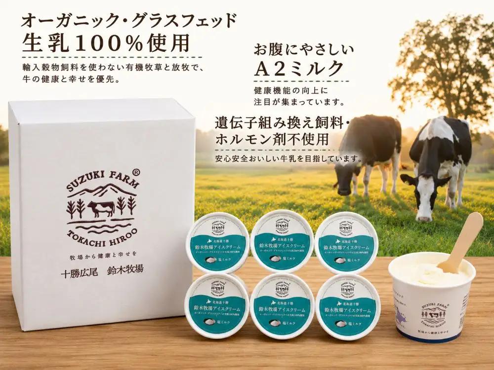  鈴木牧場アイスクリーム 塩ミルク【北海道アイス 　十勝アイス 　広尾町 　ふるさと納税 　アイス　鈴木牧場】（AC0063）