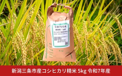 先行予約 新潟三条市産コシヒカリ精米 5kg 令和7年産 新潟県産コシヒカリ【017S151】