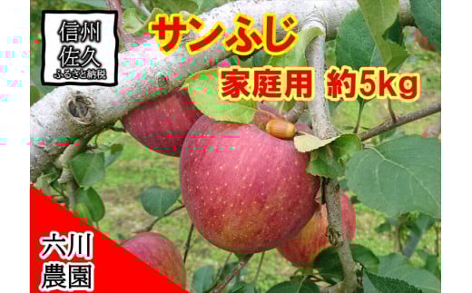 長野県産 サンふじ りんご 家庭用 約5kg （14〜25玉）〈2025年12月出荷分／北海道・沖縄県・離島は配送不可〉信州 果物 旬彩 先行予約 季節限定【 当園にて愛情たっぷりに育てたりんご 長野県 佐久市 旬彩 】