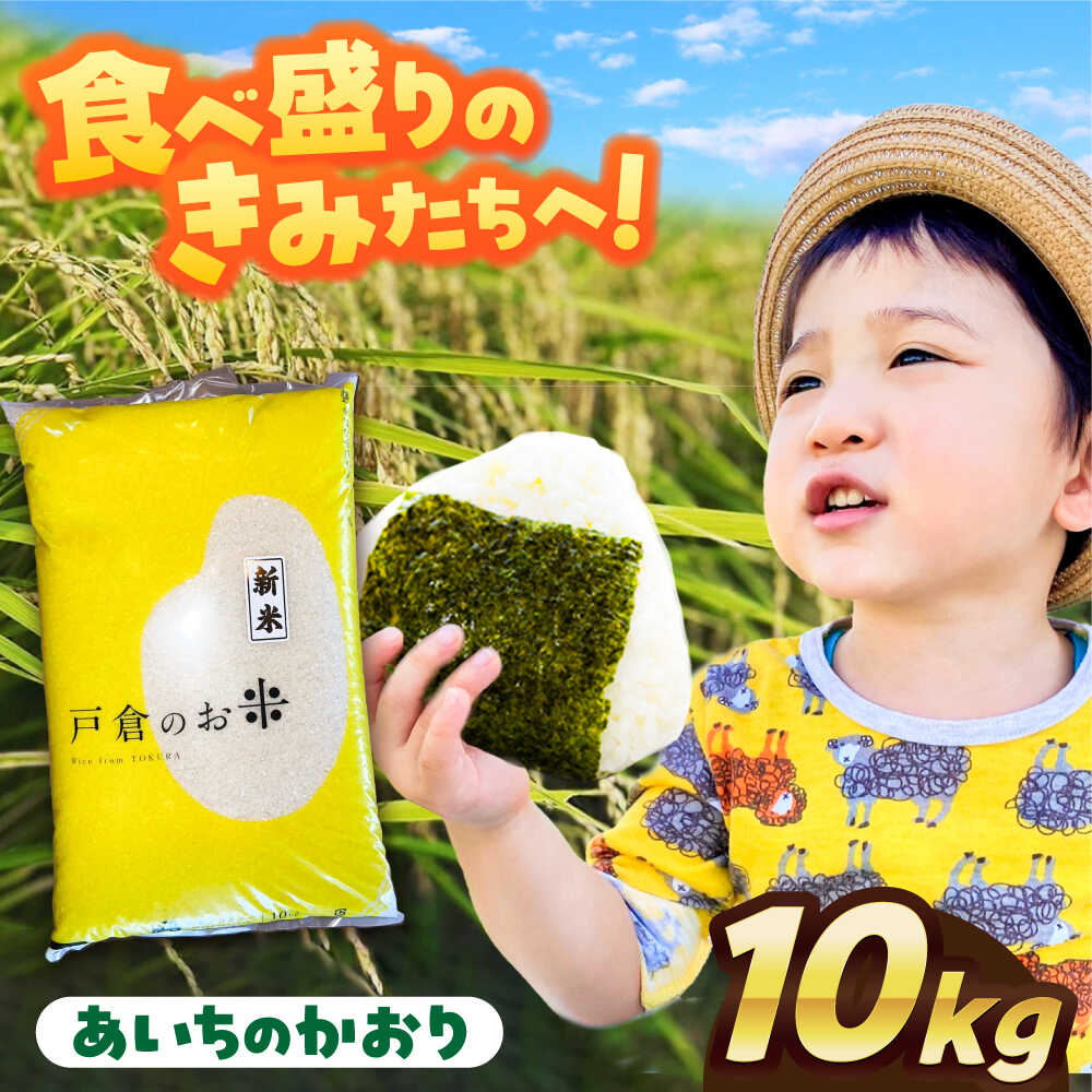 【ふるさと納税】【先行予約/10月より順発送】 【令和7年度産 新米 】 あいちのかおり 白米 10kg お米 ご飯 愛西市 / 戸倉トラクター 【配達不可：離島】[AECS002]