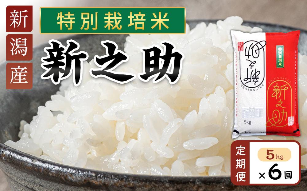【定期便】新之助（特別栽培米）5kg×6ヶ月連続お届け | 米　お米　新潟　新潟県　特別栽培米