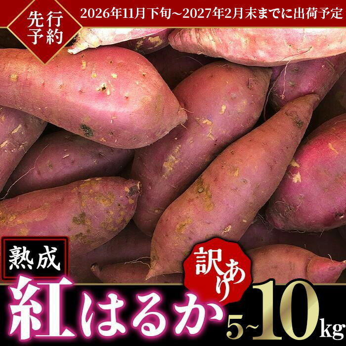 【ふるさと納税】【先行予約】【訳あり】茨城県産熟成さつまいも「紅はるか」5kg~10kg【2026年11月下旬頃～2027年2月末までに出荷予定】【さつまいも 紅はるか 芋 サツマイモ 甘い 焼き芋 スイートポテト 茨城県産 大容量 不揃い ねっとり】
