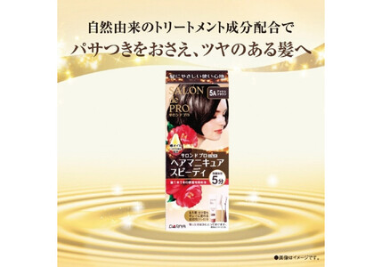 ダリヤ　サロン　ド　プロ　ヘアマニキュア・スピーディ＜アッシュブラウン＞3個セット