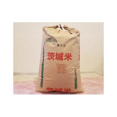 ふるさと納税 石岡市 【令和7年産】獅子米 ミルキークイーン 玄米 30kg