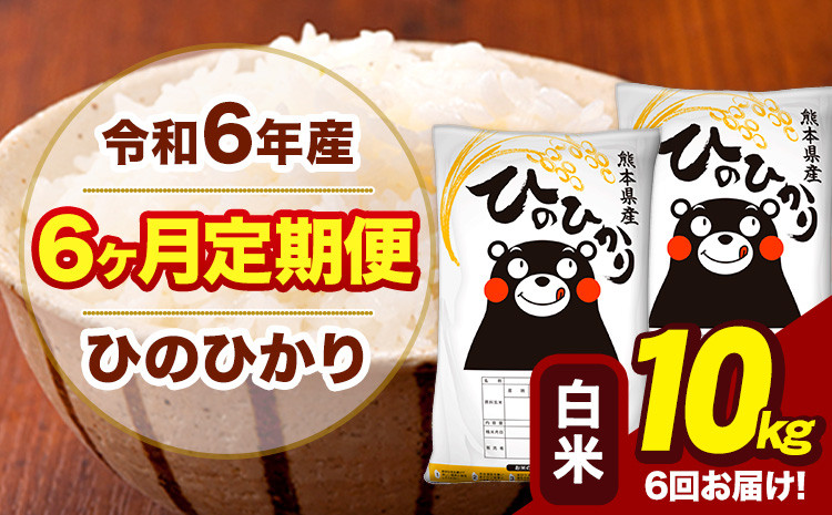 
            令和6年産 【6ヶ月定期便】 白米 米 ひのひかり 10kg《お申し込み月の翌月から出荷開始》熊本県 大津町 国産 熊本県産 白米 送料無料 ヒノヒカリ こめ お米 
          