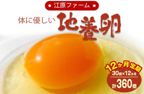 【定期便12か月】 江原ファーム 体に優しい地養卵（30個） | 卵 定期便 30個 玉子 たまご タマゴ 生卵 鶏卵 生みたて 産みたて 地養卵 新鮮 濃厚 健康 TKG たまごかけごはん ご飯のお供 国産 ギフト 贈答 贈り物 お中元 お歳暮 プレゼント 茨城県 古河市 直送 農家直送 産地直送 送料無料 _AG15