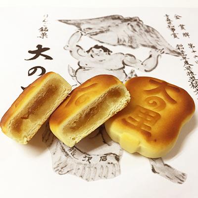 ふるさと納税 藤崎町 大の里(オオノサト)15個入り |  | 01