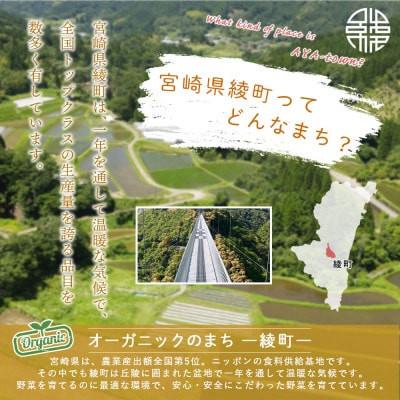 ふるさと納税 綾町 【毎月定期便】綾町旬野菜ギフト Mサイズ全3回 |  | 01