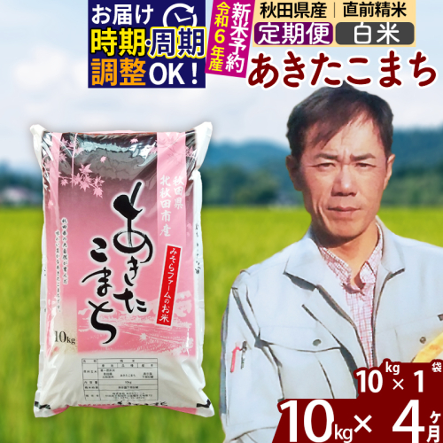 ※令和6年産 新米予約※《定期便4ヶ月》秋田県産 あきたこまち 10kg【白米】(10kg袋) 2024年産 お届け周期調整可能 隔月に調整OK お米 みそらファーム