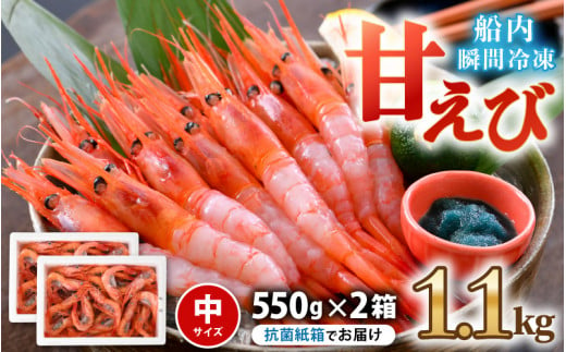 甘えび (中サイズ) 約1.1kg (550g×2箱) 天然・鮮度抜群！ 漁船直送！ 海の上で食べる味！「共栄丸」直送☆船内瞬間冷凍 【海老 えび エビ アマエビ あまえび 甘海老 殻付き 有頭 生食 刺身 冷凍 魚介類 魚貝類 産地直送 福井県産 国産 三国 人気】 [A-2395]