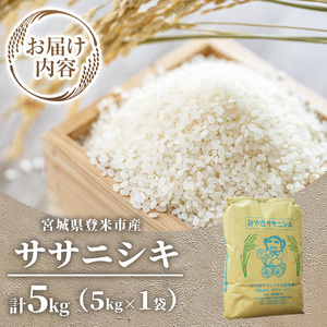 ≪令和7年産 新米≫ 登米市産 ササニシキ 5kg (5kg×1袋) お米 おこめ 米 コメ 白米 ご飯 ごはん おにぎり お弁当【有限会社PFTサービス】tm477