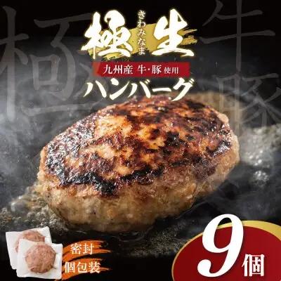 Z61-41 寄附額改定↓↓ 極生ハンバーグ 9個セット(150g×9) ハンバーグ
