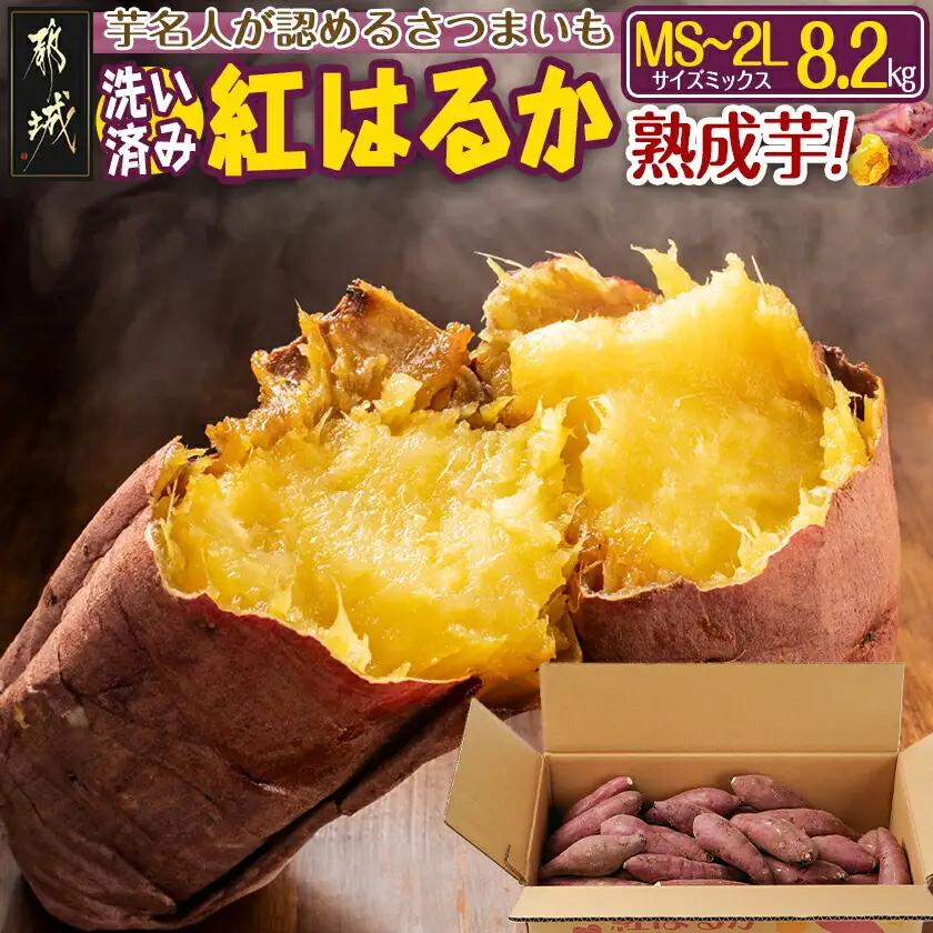 【熟成芋】芋名人が認めるさつまいも『洗い済み　紅はるか』8.2kg MS～2Lミックス ※12月～1月頃順次発送〔L7-005-8200g-j〕_(都城市) 宮崎県都城産 紅はるか MS～2Lミックス 約8.2kg