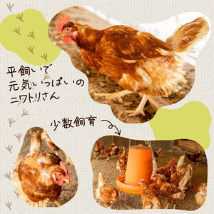 【定期便3回】こだわり たまご 30個 (10個×3パック) 新鮮 平飼い 卵 ﾀﾏｺﾞ