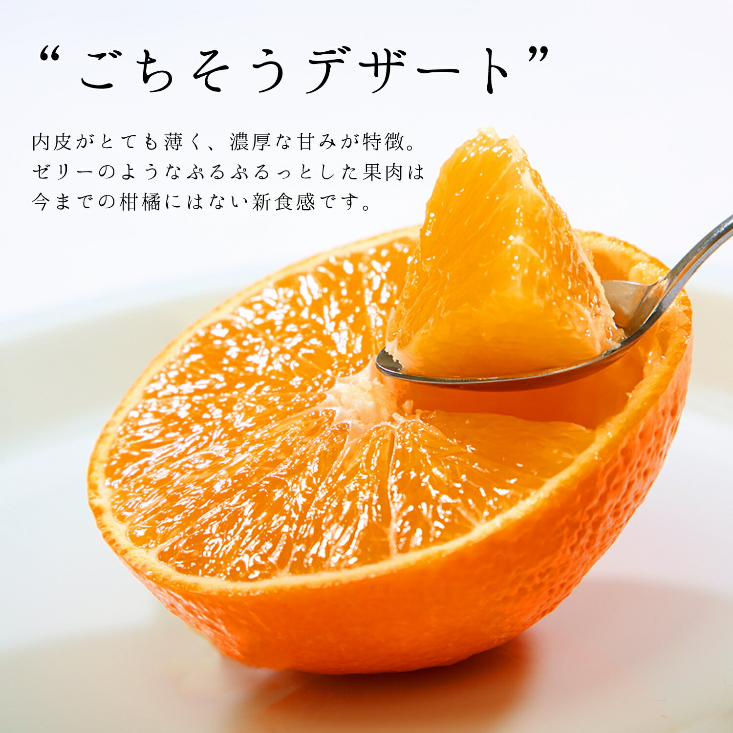 【ふるさと納税】(熨斗付き)コウ果樹園の「厳選　華まどんな」3kg(4L〜L　8〜15玉)【E33-47】_【1526083】YWTG029