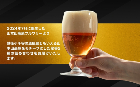 【クラフトビール】2種類6本セット 飲み比べ | クラフトビール