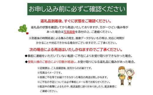 野菜 定期便 6回 毎月 人気 産地直送 新鮮 野菜セット《7～8品》旬 野菜詰め合わせ 採れたて 定期便 季節 野菜 おまかせ 旬 なす きゅうり ピーマン トマト たまねぎ じゃがいも ねぎ にんじん 春野菜 夏野菜 秋野菜 果物 新鮮 岩手県産 国産 詰め合わせ 定期 岩手県 一関市