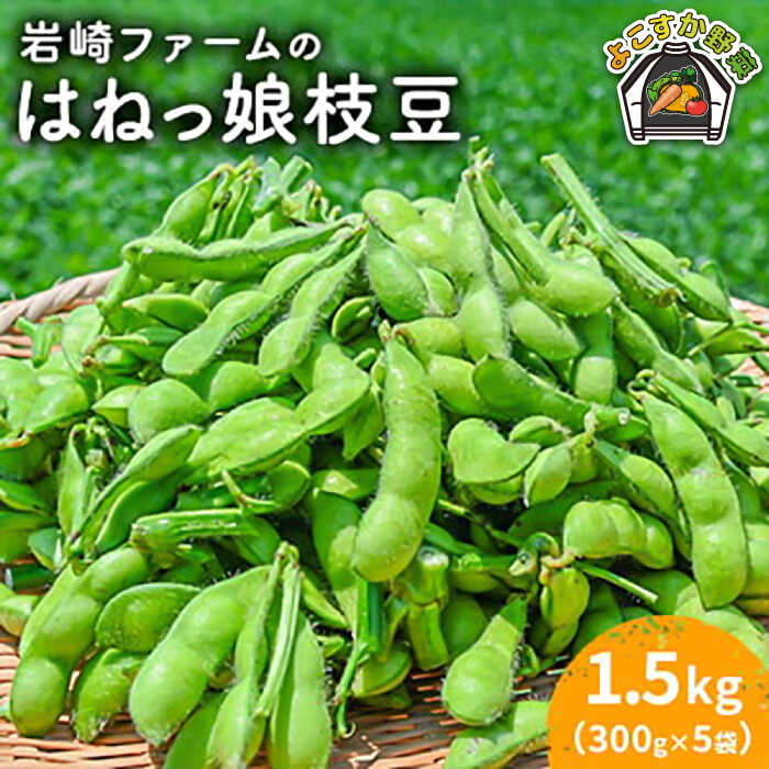 【ふるさと納税】【先行予約】【数量限定】はねっ娘枝豆 1.5kg（300g×5袋）神奈川 横須賀 枝豆 冷蔵 農家直送 新鮮 あまおとめ 濃厚　【有限会社岩崎ファーム】[AKCZ001]