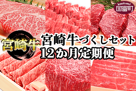 ★12か月定期便★＜宮崎牛づくしセット＞翌月末迄に第１回目発送【 定期便 肉 牛 牛肉 和牛 黒毛和牛 -】