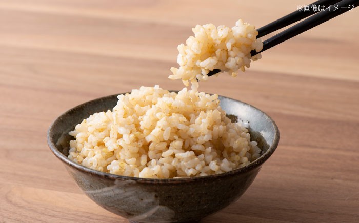 五つ星お米マイスターが厳選したお米をご自宅で！おいしい炊きたてご飯で食卓を笑顔に