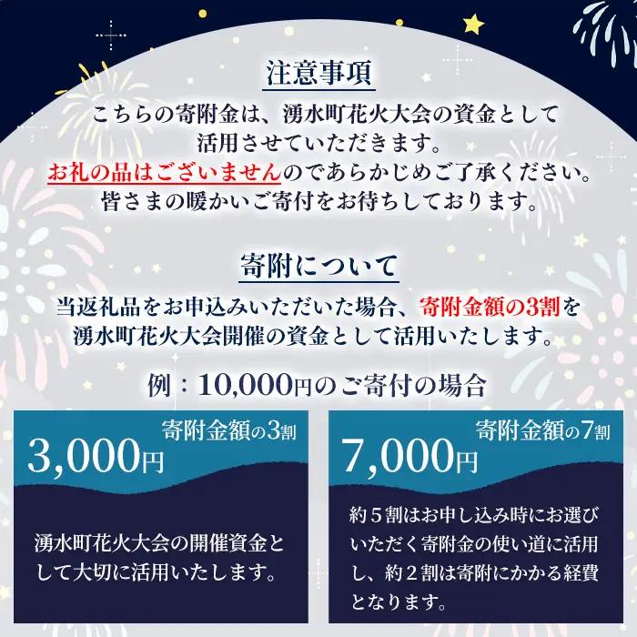 ≪お礼品なし≫湧水町花火大会 応援寄附金(1口：10,000円) 花火大会 夏 夏祭り 祭り イベント 花火 打ち上げ花火 ふるさと 応援 九州 鹿児島県 湧水町【湧水町花火大会実行委員会】_y000