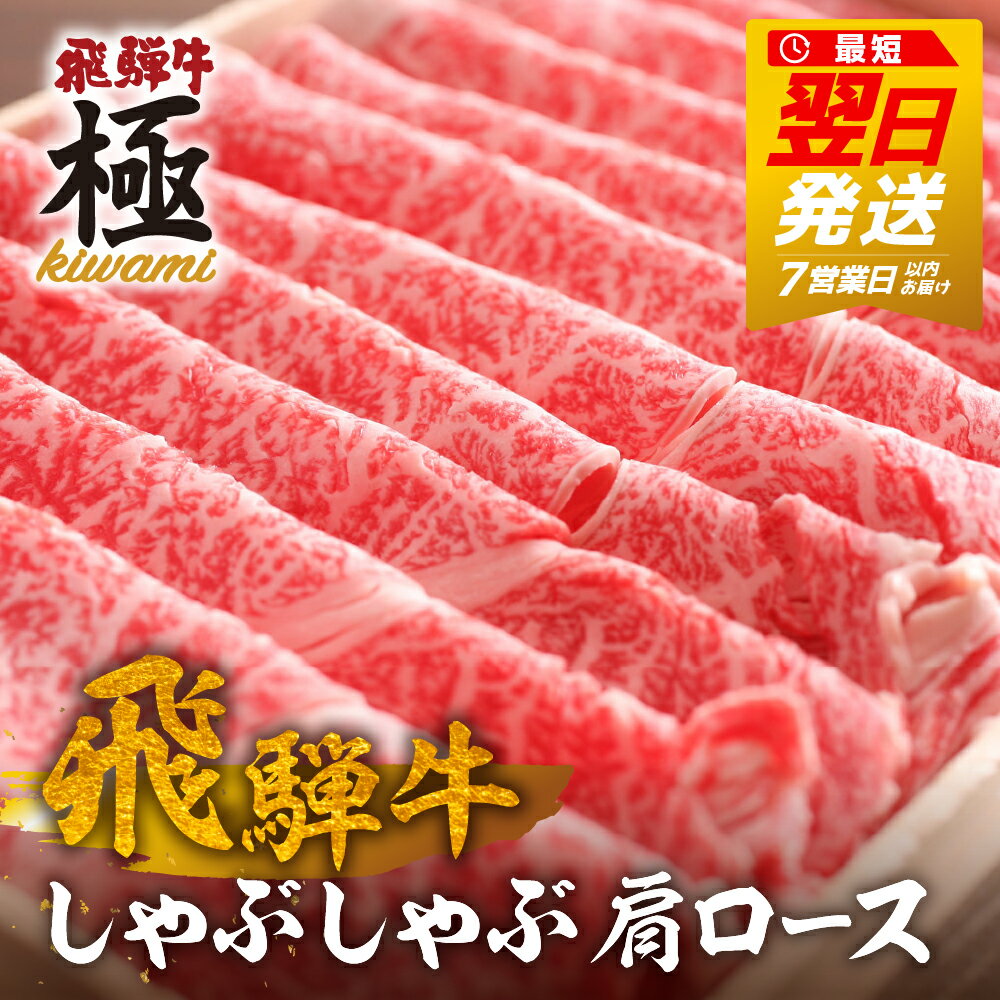 【ふるさと納税】≪限定受付中!! 特別内容量≫ 飛騨牛 肩ロースしゃぶしゃぶ用 500g~700g(選べる 内容量) 飛騨牛 カタロース ロース しゃぶしゃぶ プロ厳選 牛肉 和牛 肉 国産 鍋 通常 or 12月発送 [D0016x Q308x]30000円 3万円 50000万円 5万円