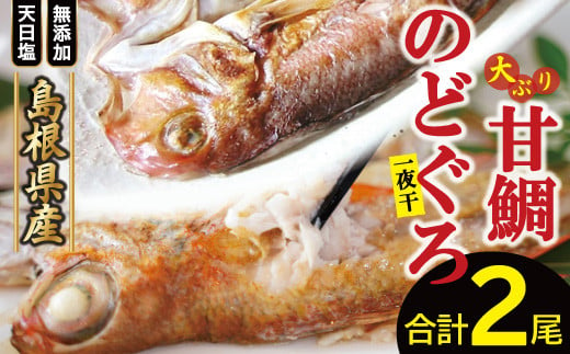 
「一日漁」甘鯛・のどぐろ一夜干し【のどぐろ干物 1尾 201～260g 甘鯛干物 1枚 301～375g 無添加 のどぐろ ノドグロ 特大 アマダイ 大ぶり 干物 一夜干し 冷凍 父の日 母の日】
