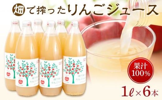 りんご ジュース 6本 × 各1000ml 大町産 | ジュース 農家直送  果汁100%  大容量 国産りんご 人気 おすすめ 飲料 フルーツ 朝食 美容 健康 ギフト 送料無料 長野県 大町市 ふるさと納税