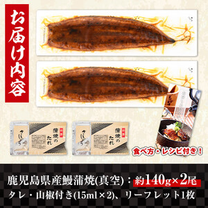 i505-f 【父の日ギフト】鹿児島県産うなぎ蒲焼2尾セット(約140g×2・計約280g) うなぎ 鰻 ウナギ 2尾 蒲焼き 国産 鹿児島県産 焼きたて 生産量日本一 真空パック おかず 晩御飯 特