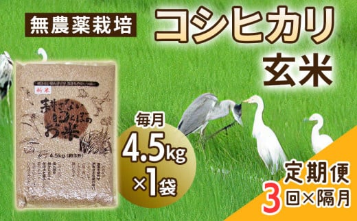 
[定期便] (隔月×3回お届け) 無農薬栽培 コシヒカリ 玄米 4.5kg [0348]
