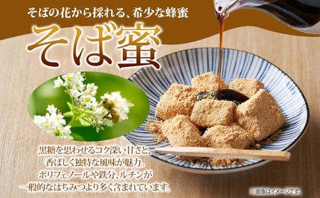 【 ふるさと納税 】北海道美深産 天然そばはちみつ 1.2kg 瓶 はちみつ 蜂蜜 みつばち 蜜蜂 ミツバチ そば蜜 ソバ蜜 純粋国産 国産 日本産 生 ミネラル ミネラル豊富 蕎麦蜜 お取り寄せ 送