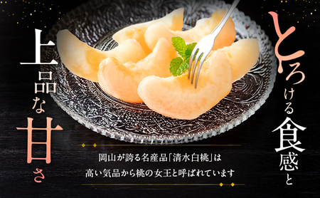 清水白桃 岡山県産 清水白桃【5玉 約1.3kg】【先行予約】