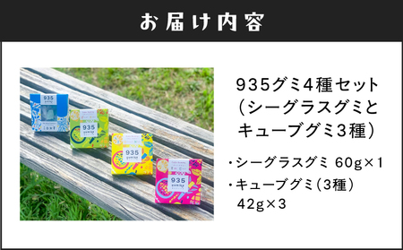935 グミ 4種 セット （ シーグラスグミ と キューブグミ 3種 ） A021-041  お菓子 スイーツ おやつ グミセット 甘い 奄美大島発 フルーツグミ 安田商店 ふるさと納税 鹿児島 奄