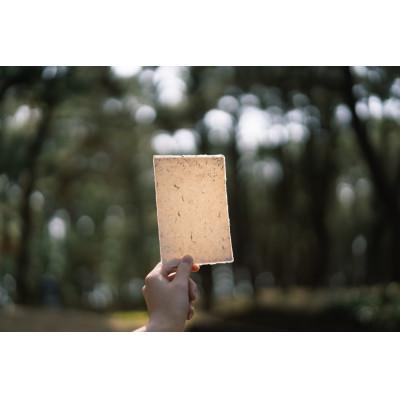 ふるさと納税 静岡市 みほのまつがみ「松葉和紙」グリーティングカード　5枚 |  | 02