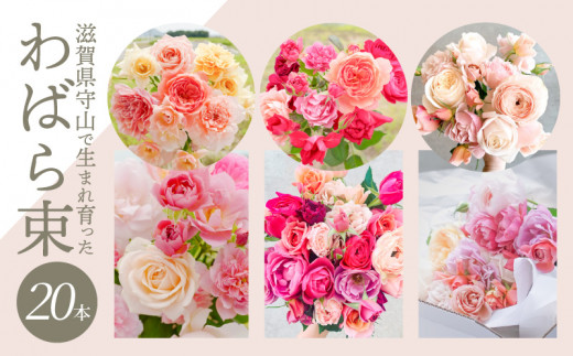 わばら束20本　【3月お届け】 WABARA  摘みたて ブーケ 花束 Rose Universe