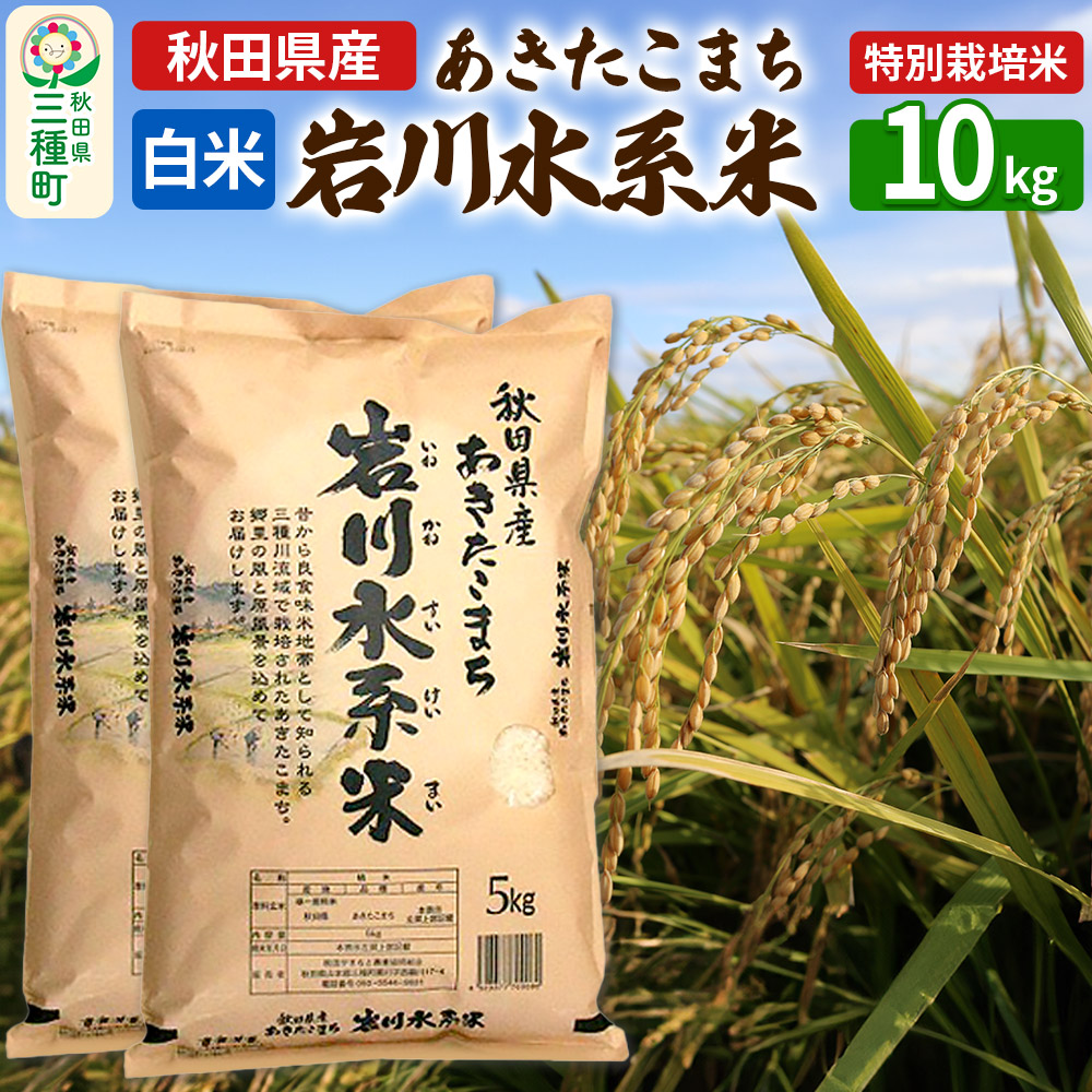 【白米】あきたこまち 岩川水系米 10kg(5kg×2袋) 令和7年産